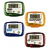 Translucent Pedometer Translucent Pedometer