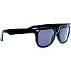 Wayfarer Sunglasses