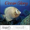  Ocean Glory Wall Calendar 