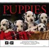 Puppies Wall Calendar