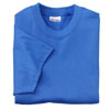  Hanes Heavyweight T-Colors 