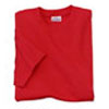  Hanes Beefy-T Shirt-Colors 