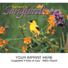  Nature's Song Birds Calendar 