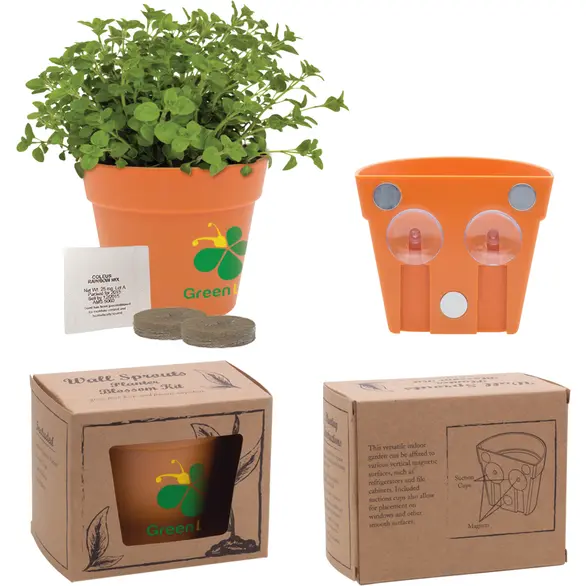 Promotional Wall Sprouts Planter Blossom Kit