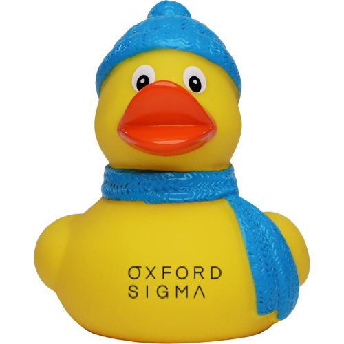 Promotional Winter Rubber  Duck