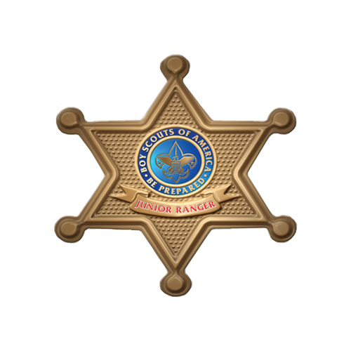 Promotional Sheriff Badge Star Shape Button