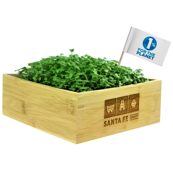 Promotional Microgreens Desktop Grow Kit