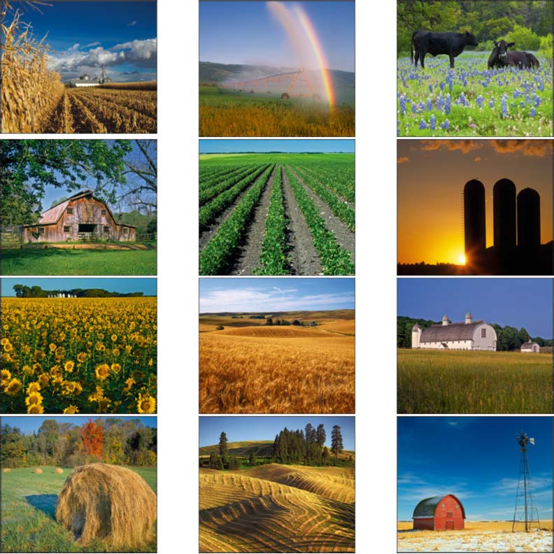 Promotional Agriculture Wall Calendar
