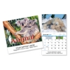  Animal Babies Calendar 