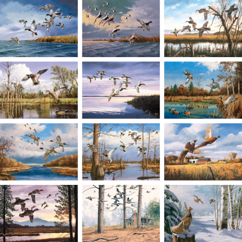 Promotional David Maass Birds Calendar