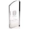  Enterprise Curve Award 