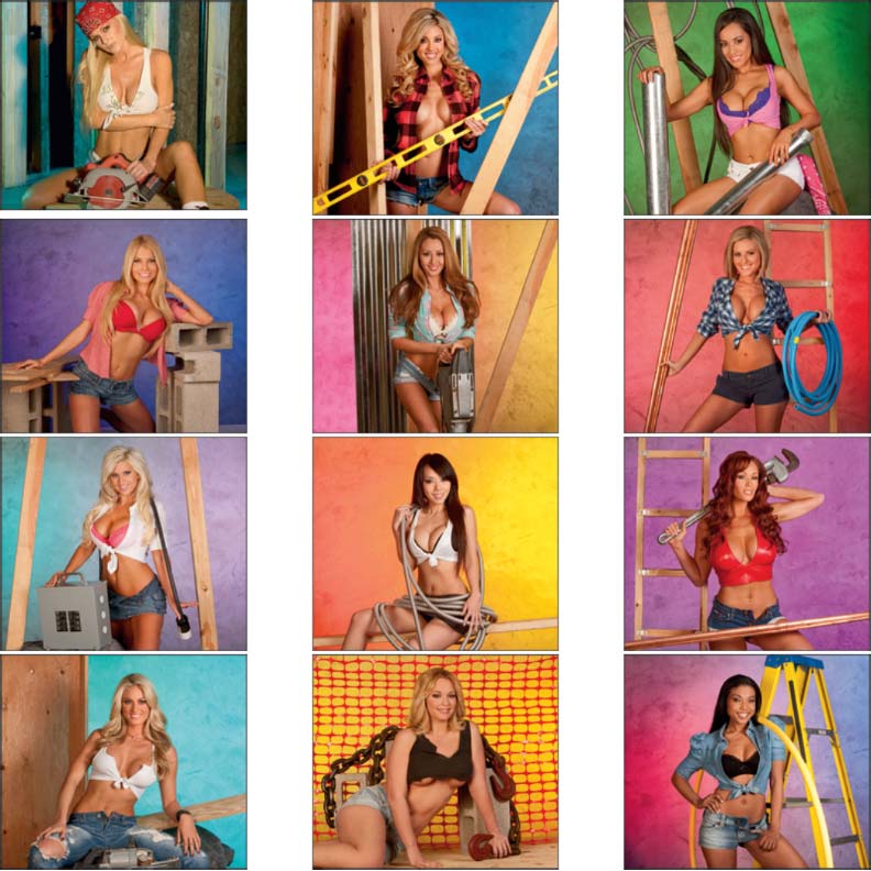 Promotional Fantasy Builders Wall Calendar
