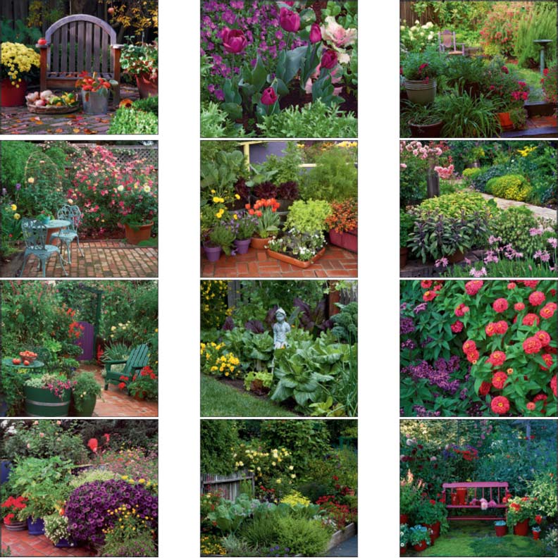 Promotional Garden Walk Wall Calendar