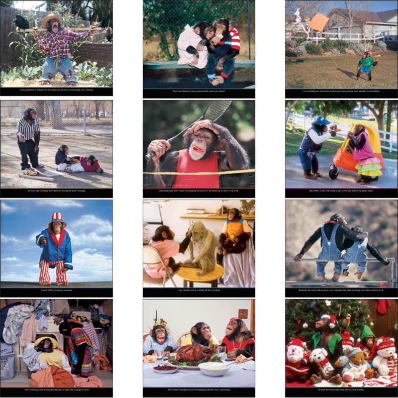 Promotional Monkey Mischief Wall Calendar
