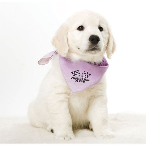 Promotional Pet Bandana