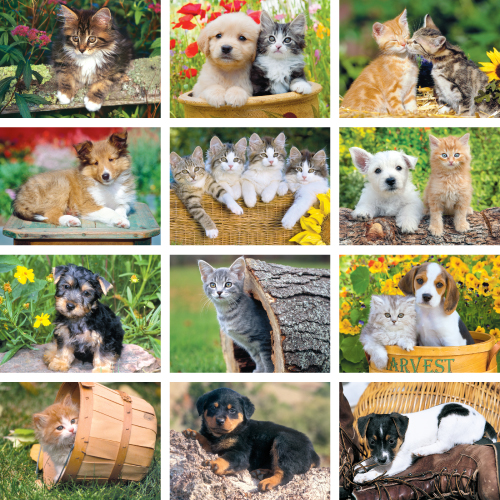 Promotional Pets Wall Calendar