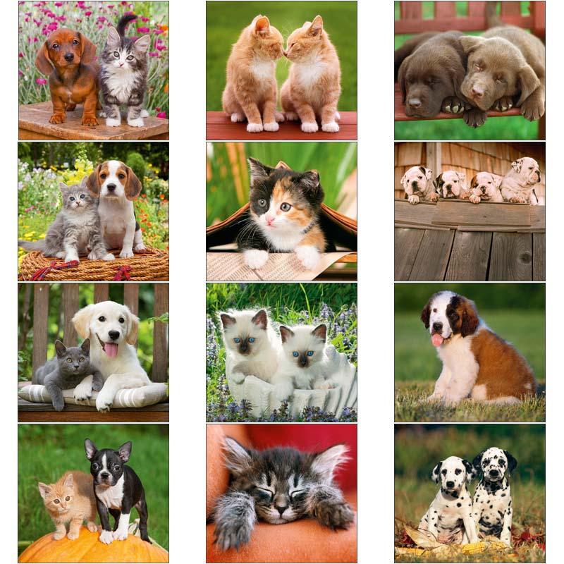 Promotional Puppies & Kittens - Mini Calendar