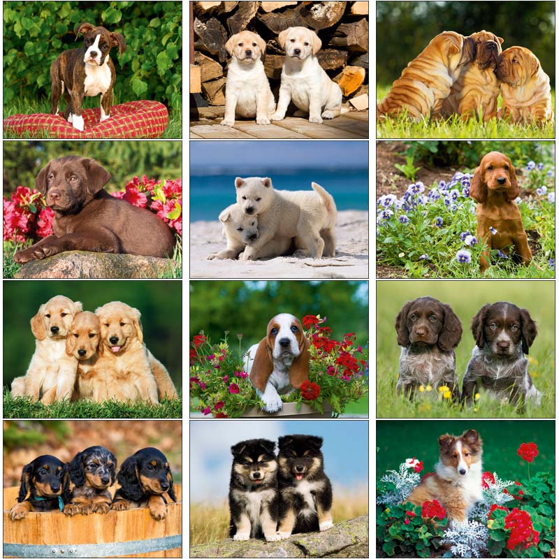 Promotional Puppies Wall Calendar
