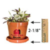 Logo Planter Kits