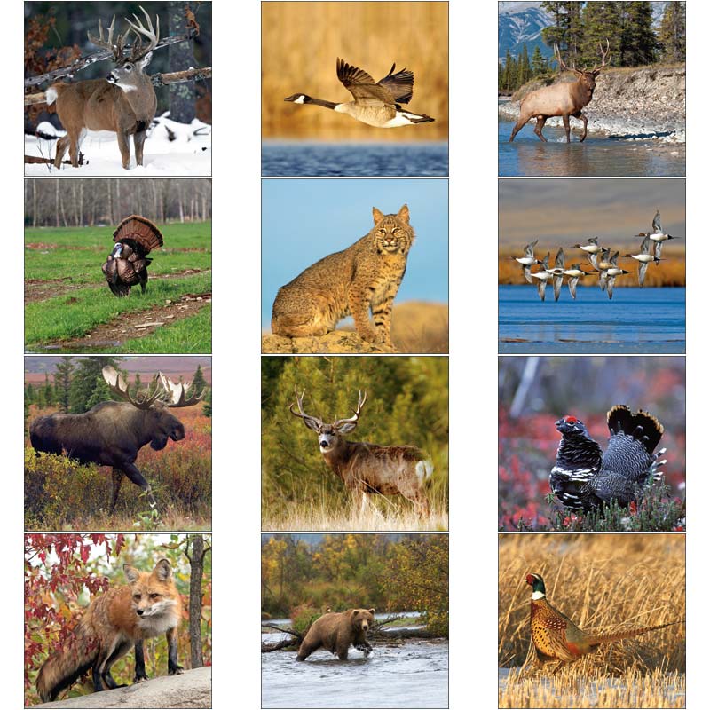 Promotional Sportsman Calendar