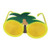 Tropical Sunglasses