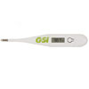 Rapid Digital Thermometer Rapid Digital Thermometer