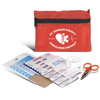 First Aid Case