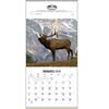  Sportsman Calendar 