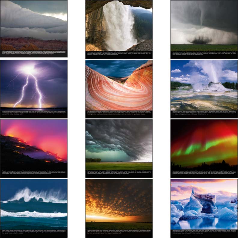 Promotional The Power of Nature Calendar