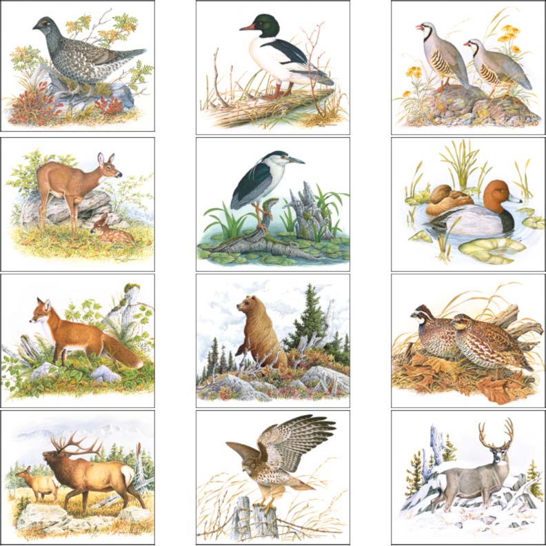 Promotional Wildlife Trek Calendar
