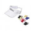  The Visor 