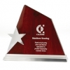 Cassiopeia Star Award 