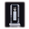  Starfire Echo Award Large 
