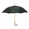  The Eco Umbrella 