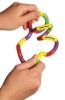  Tangle Palm 
