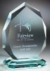  Pear Shape Jade Award 