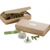  Essentials Apple Incense Kit 