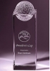  Perception Award 