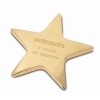  Brass Star Paperweight 