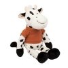  Black White Cow Wild Bunch Animals 
