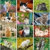  Kittens Wall Calendar 
