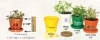  Logo Planter Kits 