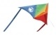 Delta Dancer Kite 