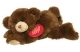  Bear 10" Lying Stuffed Animal 