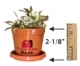  Logo Planter Kits 