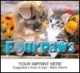  Pets Wall Calendar 