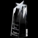  Shooting Star Award Small 