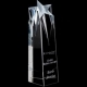 Shooting Star Award Medium 