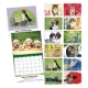  Puppies & Kittens Calendar 