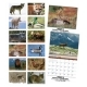  Wildlife Calendar 